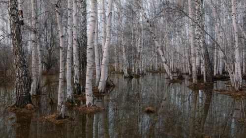 Весенние разливы