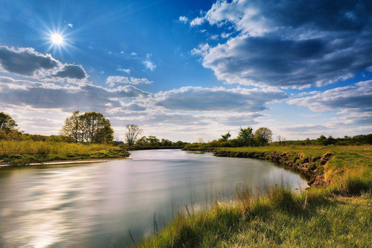 , Вейзе Максим