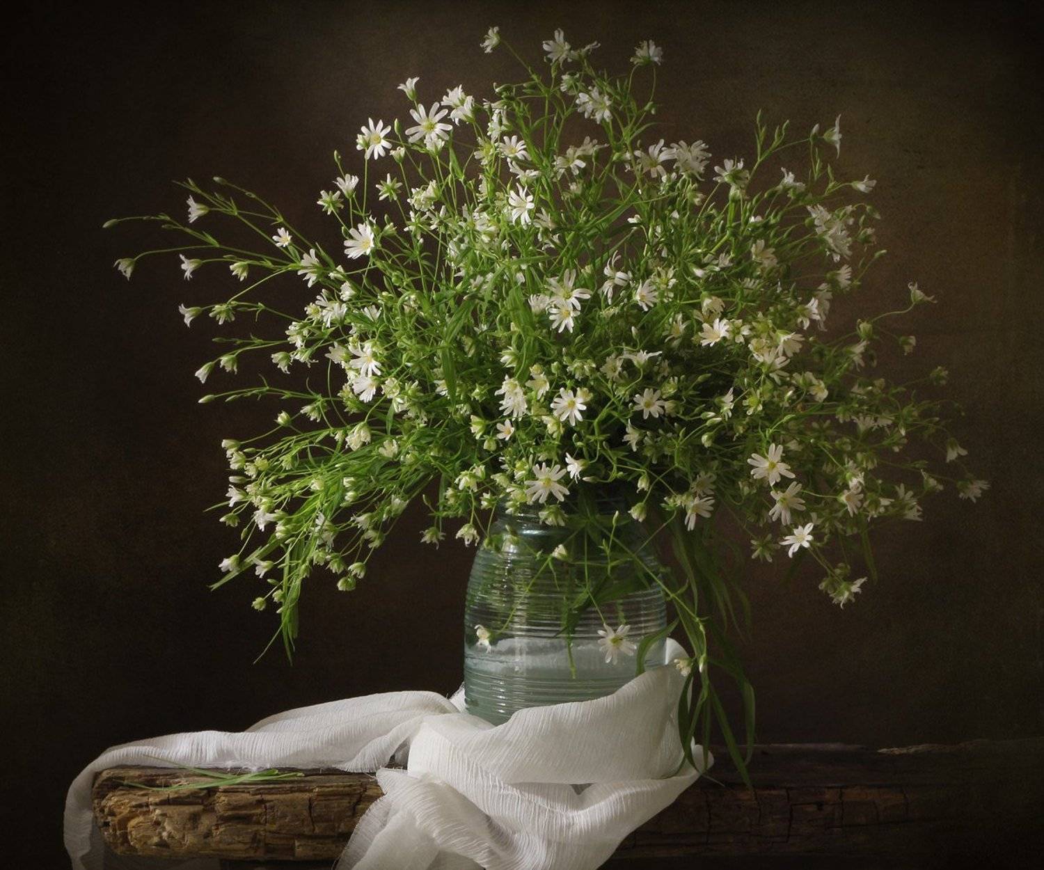 , Киливник Наталия(Metron)