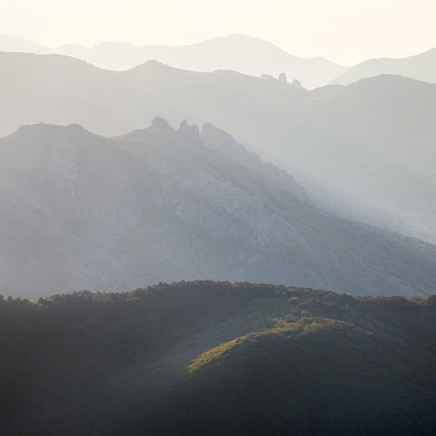 , Алексей Пучков