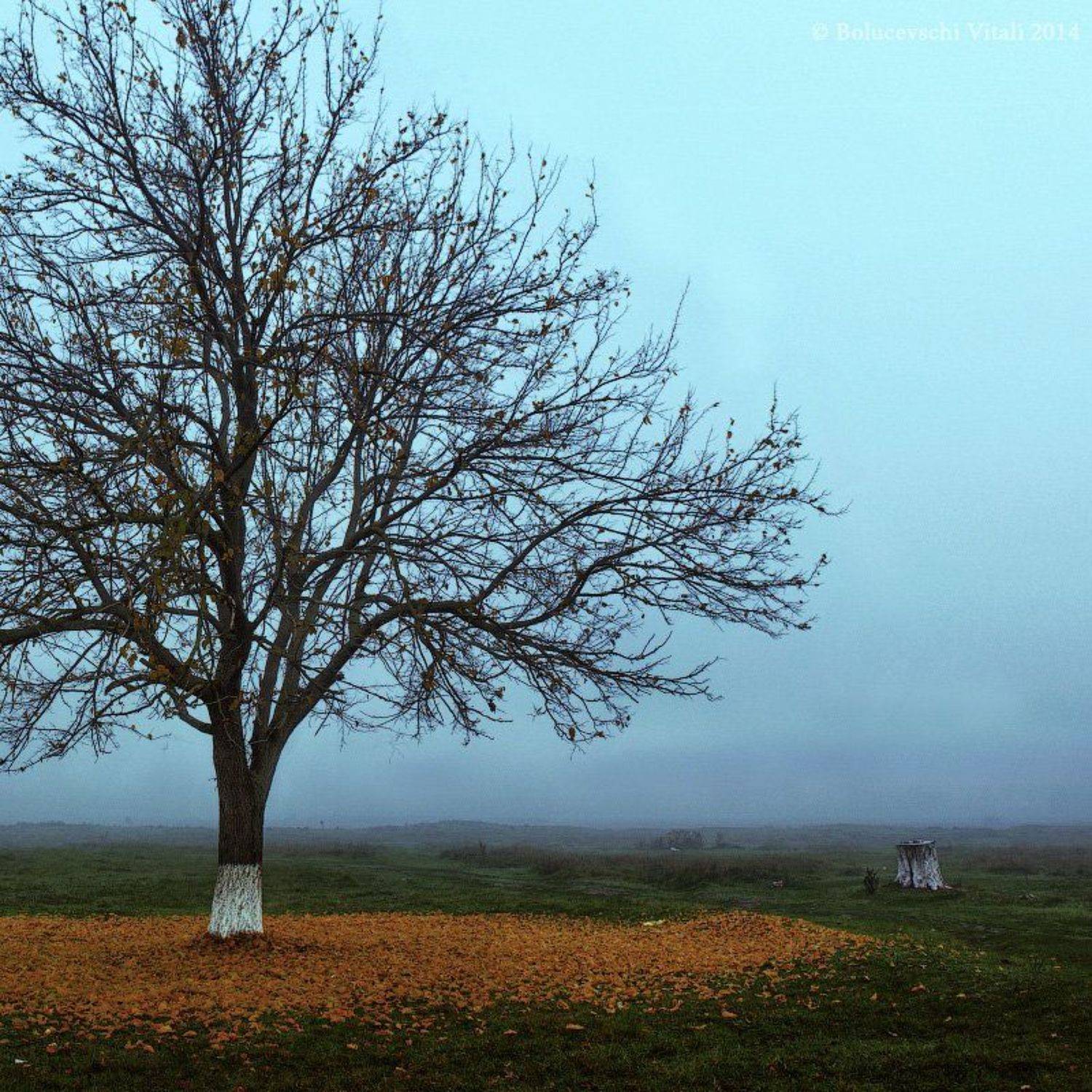 Bolucevschi, Moldova, Nature, Photo, Photographer, Vitalii
