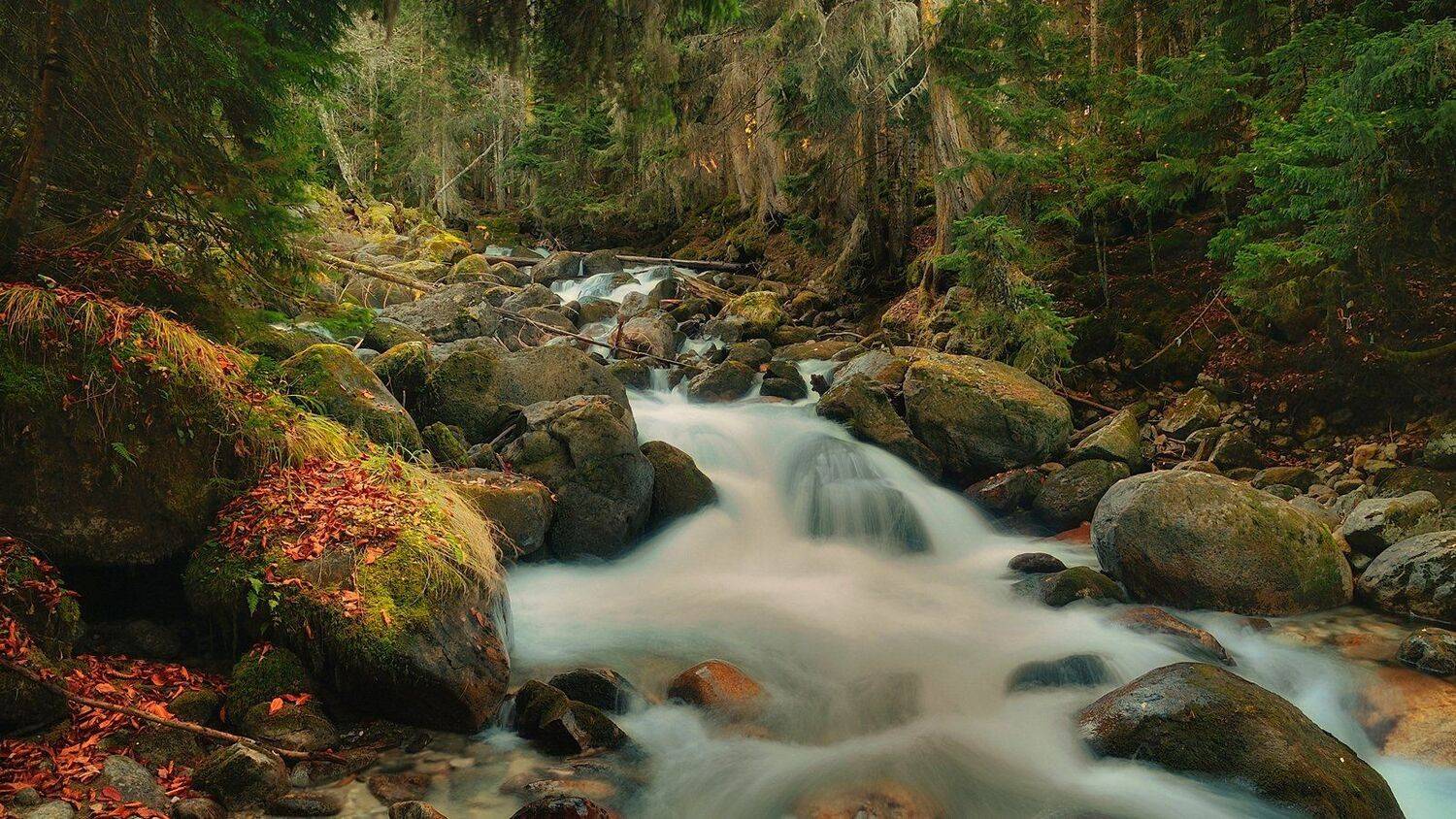 горы, лес, река, уллу-уруджу, домбай, кчр, Serj Master