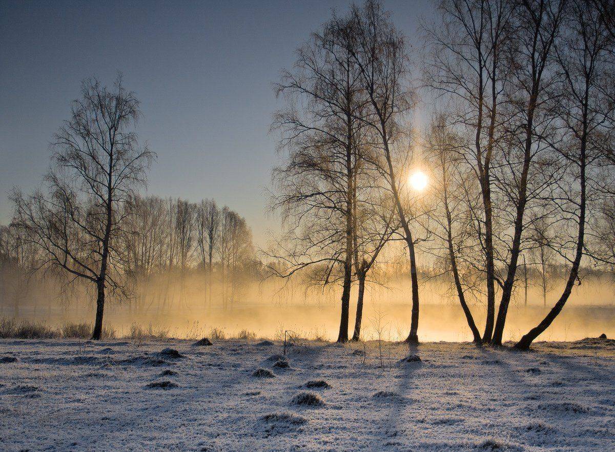 , Николай Морский