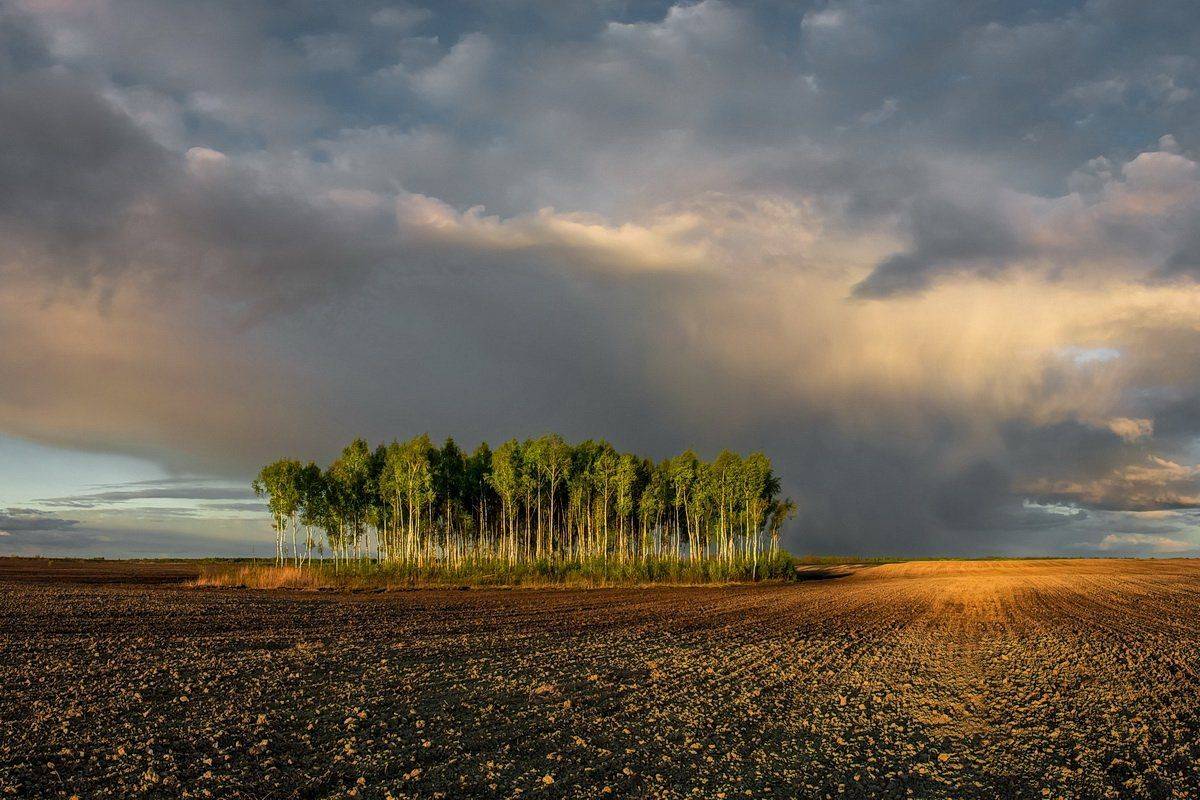 , Вилюнов Дмитрий