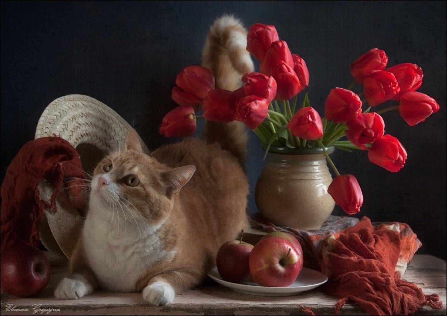 , Eleonora Grigorjeva