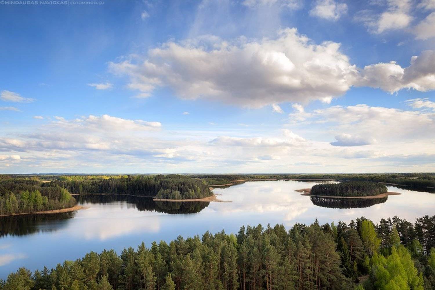 , Mindaugas Navickas