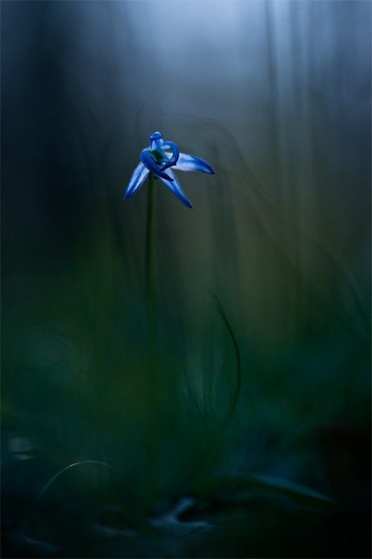 В прохладный день... фото превью