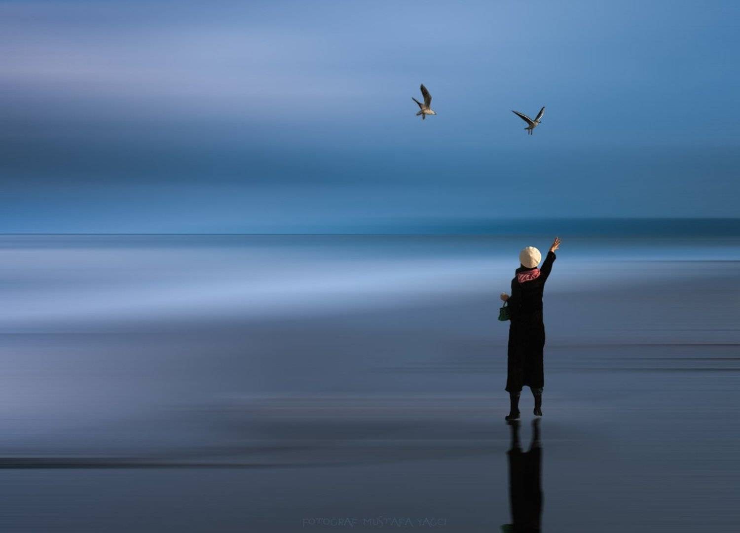 Birds, Creative, Edit, Long exposure, mustafa yagci