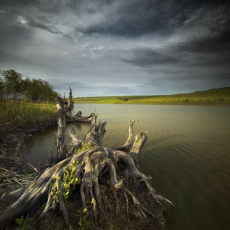 *** фото превью
