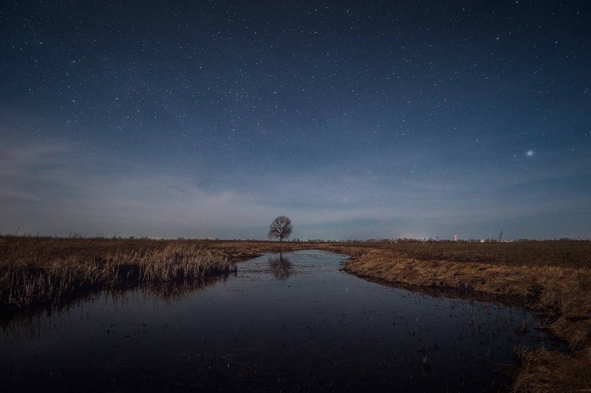 , Олег Логунов