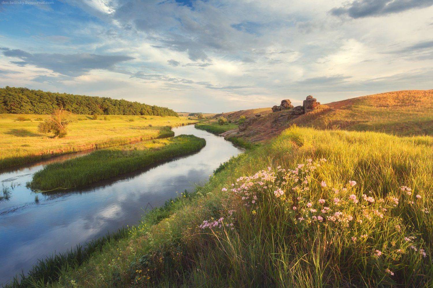 , Денис Белицкий