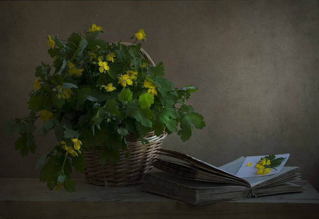 , Петрова Татьяна