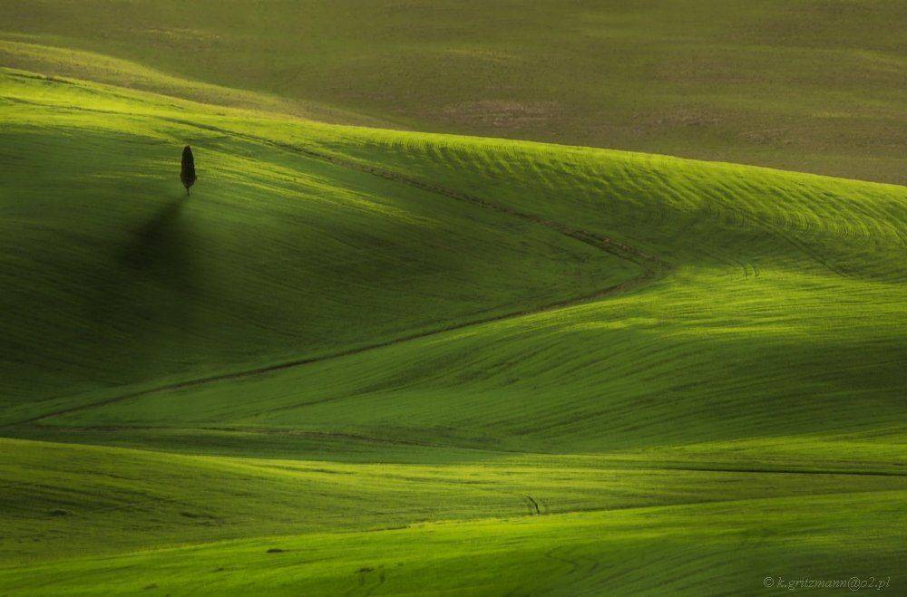 , Katarzyna Gritzmann