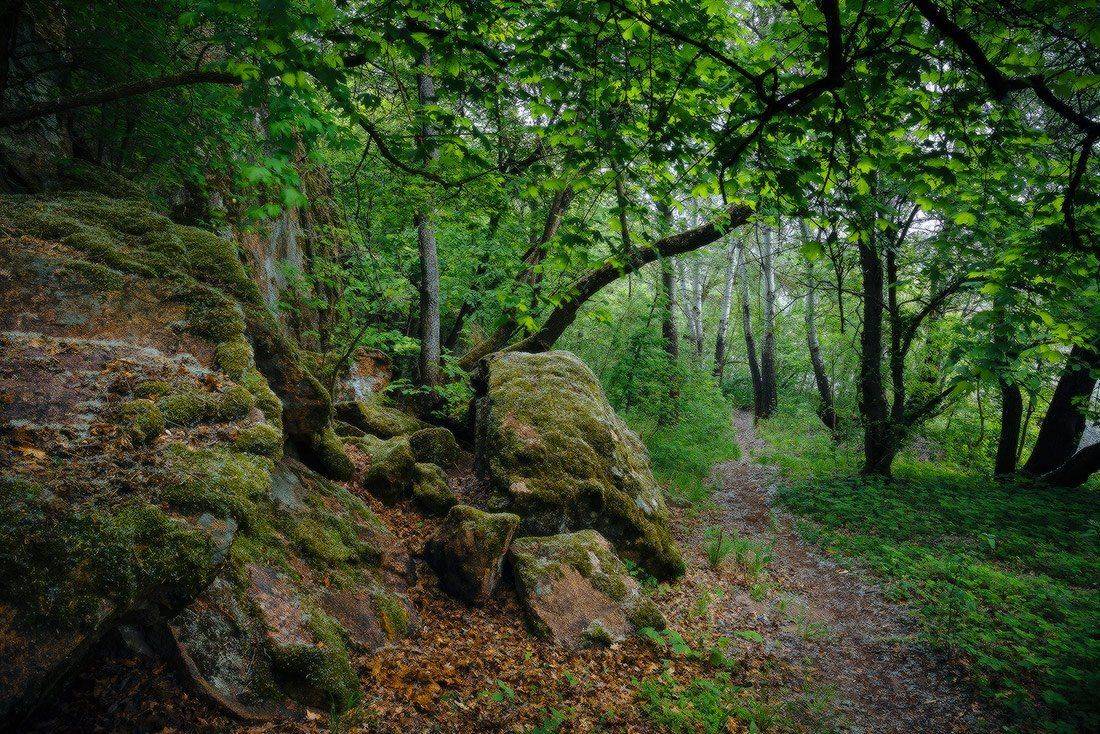 , Ярослав Тюрменко (Jaremi)