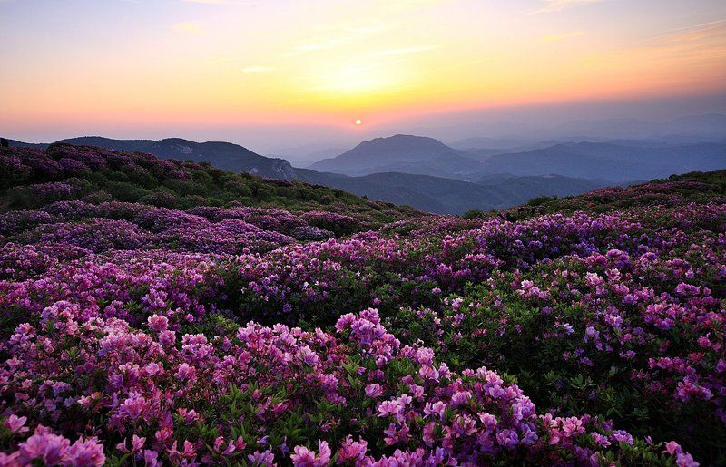 on a blue spring morning фото превью