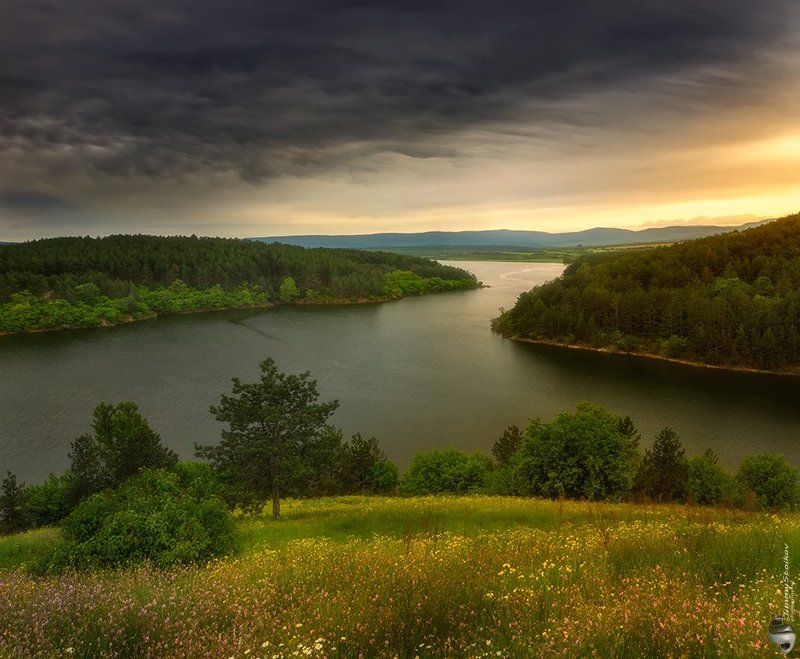 *** фото превью