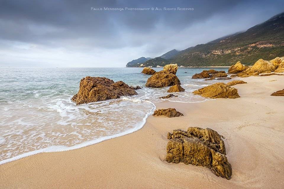 , Paulo Mendon&ccedil;a