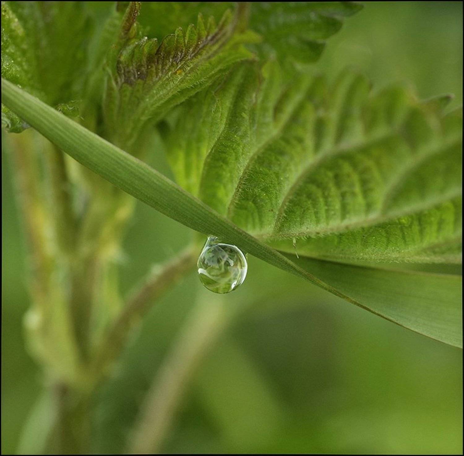, Андрей Осокин