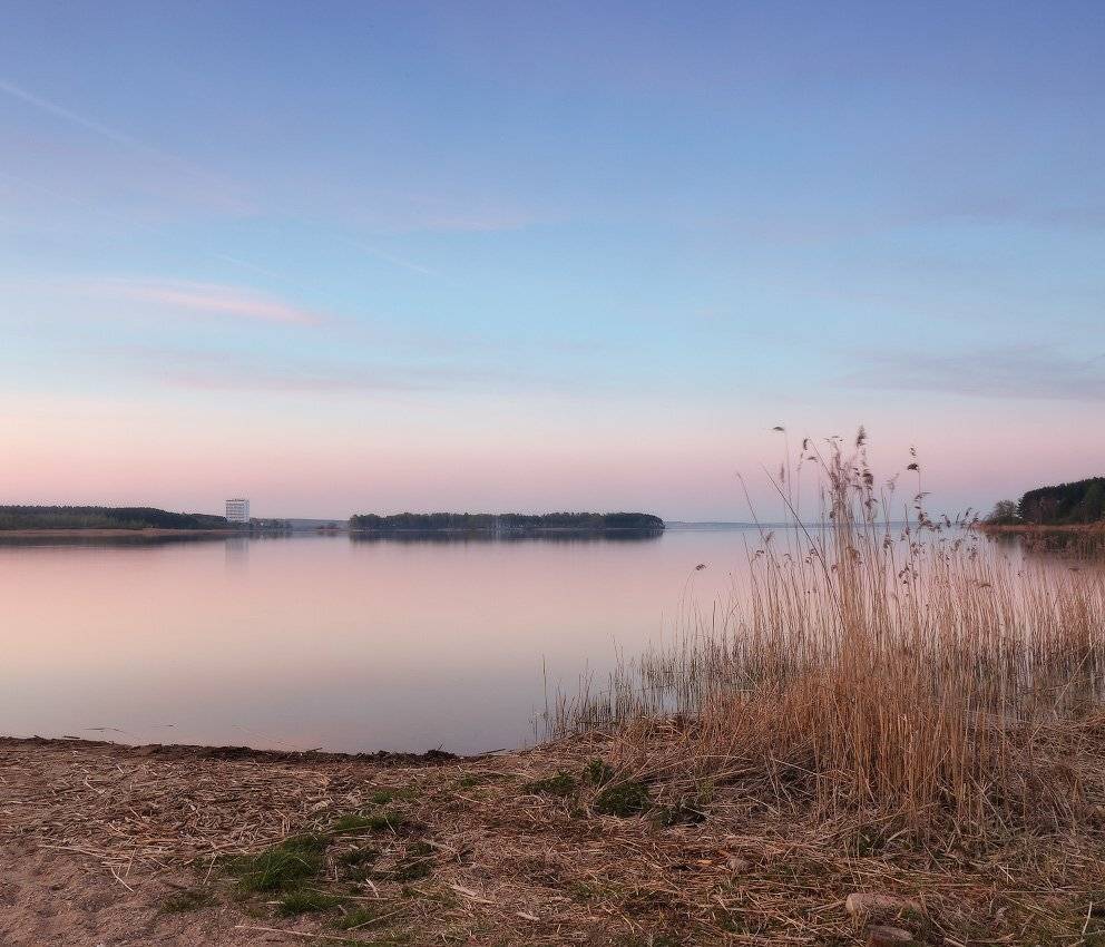 , Вейзе Максим