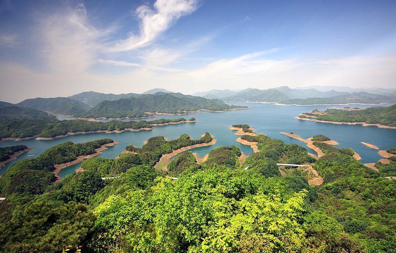 Crocodile Island фото превью