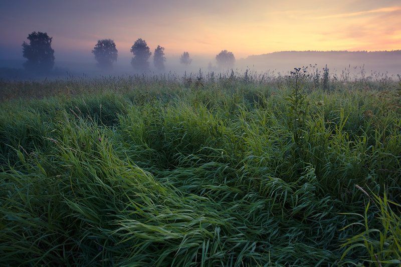 На встречу туману фото превью