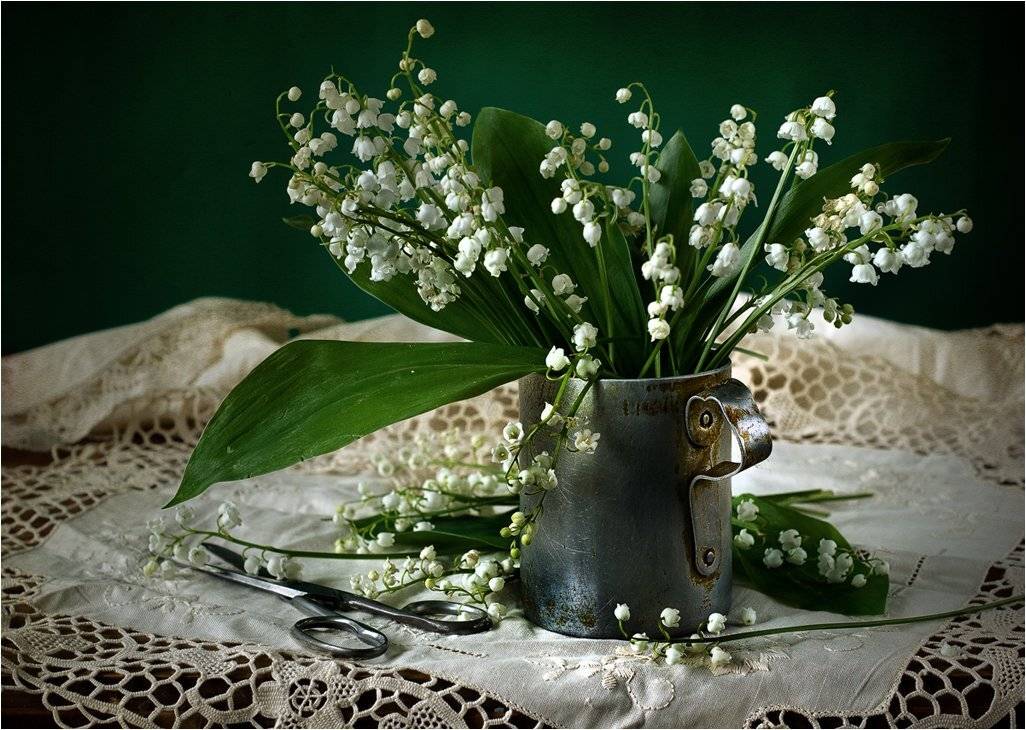 , Лев Сердюков