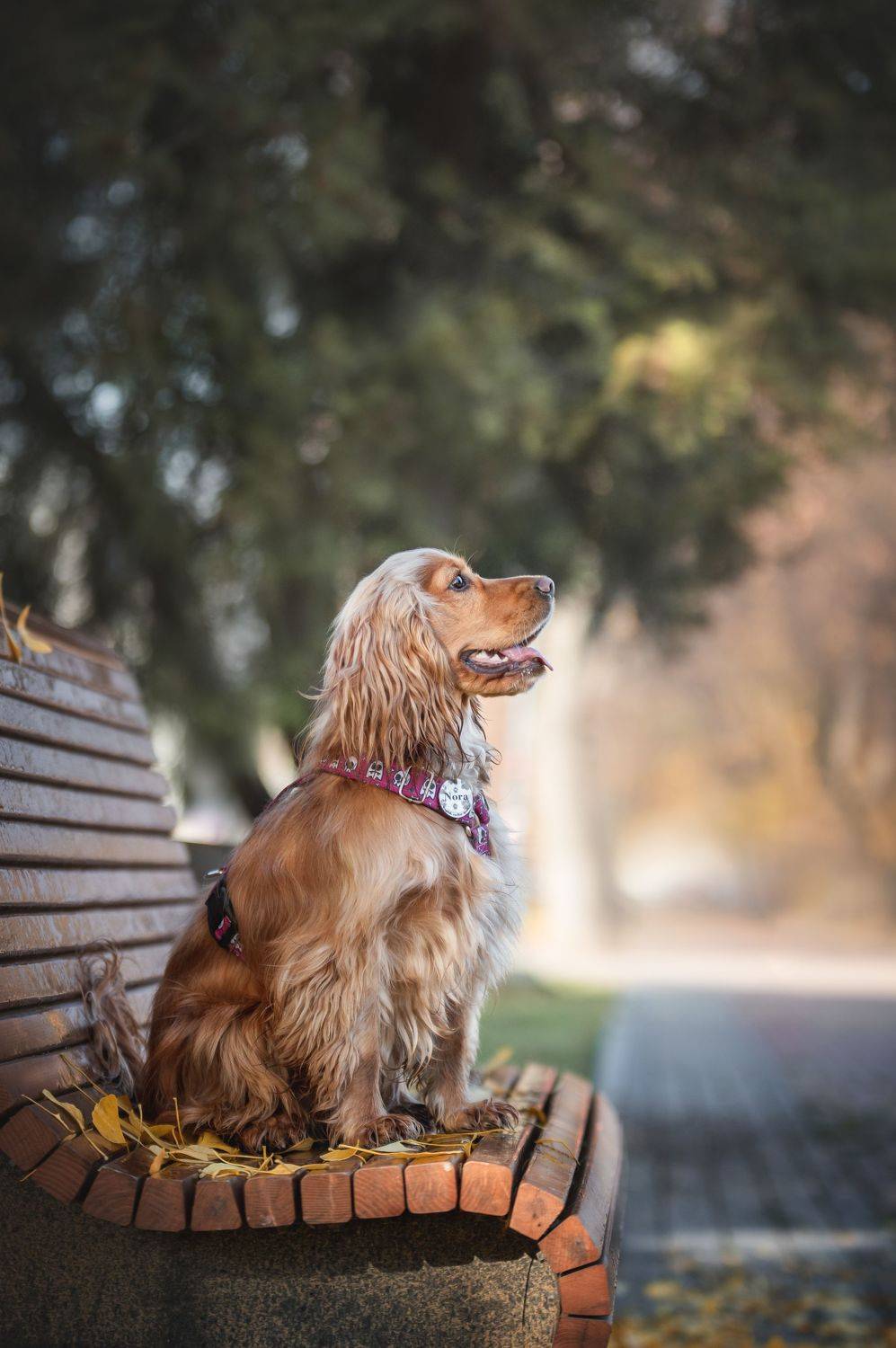 , Кристина Чижмар