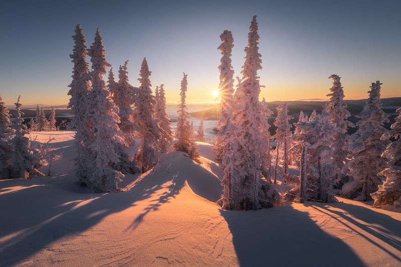 горная шория, шория зимой, куржак, иней на деревьях, зимний рассвет, зимнее солнцестояние, кемеровская область, шерегеш, гора зеленая, декабрь Утро самого короткого дня.. фото превью