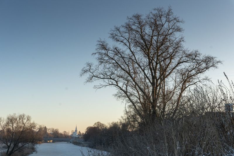 255 фото превью