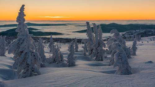 В ожидании рассвета