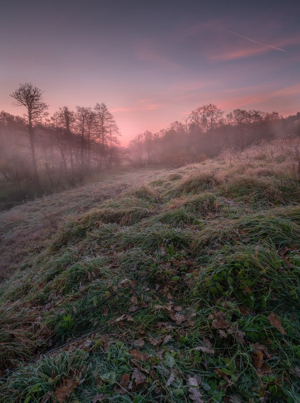 Холод осени фото превью