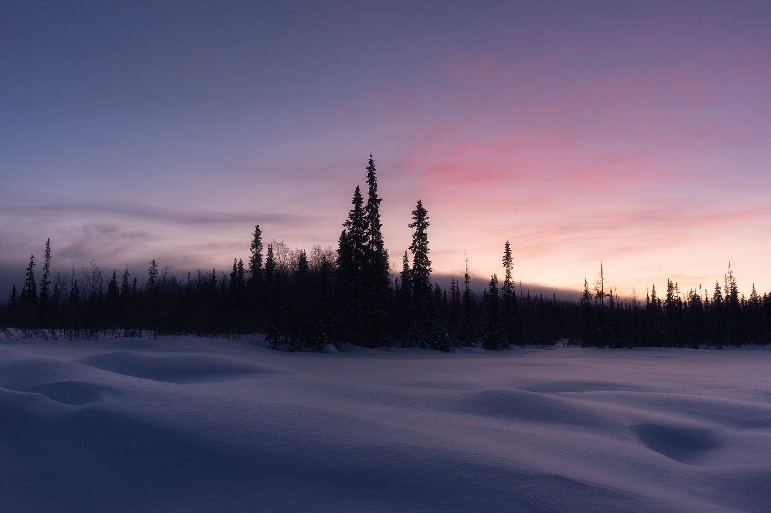 , Алексей Козаченко