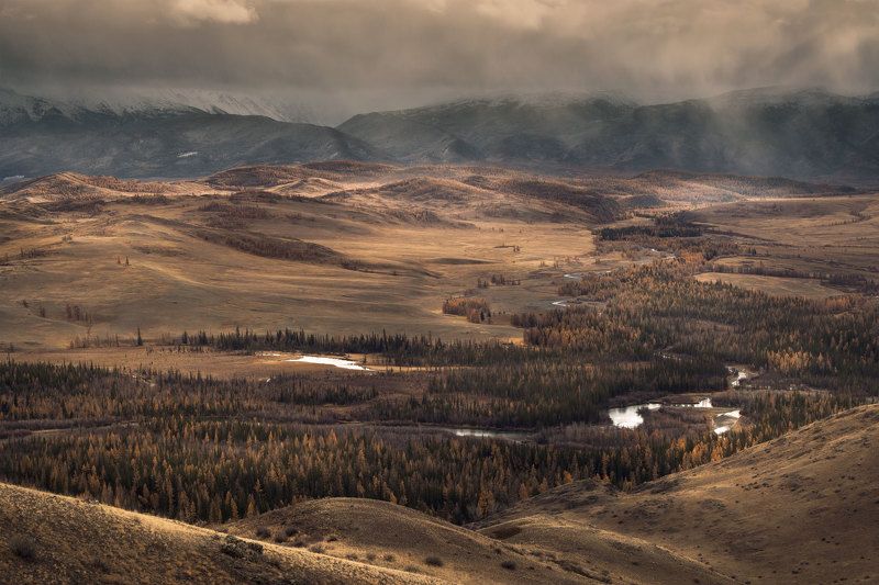 алтай, осень, северо-чуйский хребет, золотая осень, горный алтай, курай, осень на алтае Алтайская осень фото превью