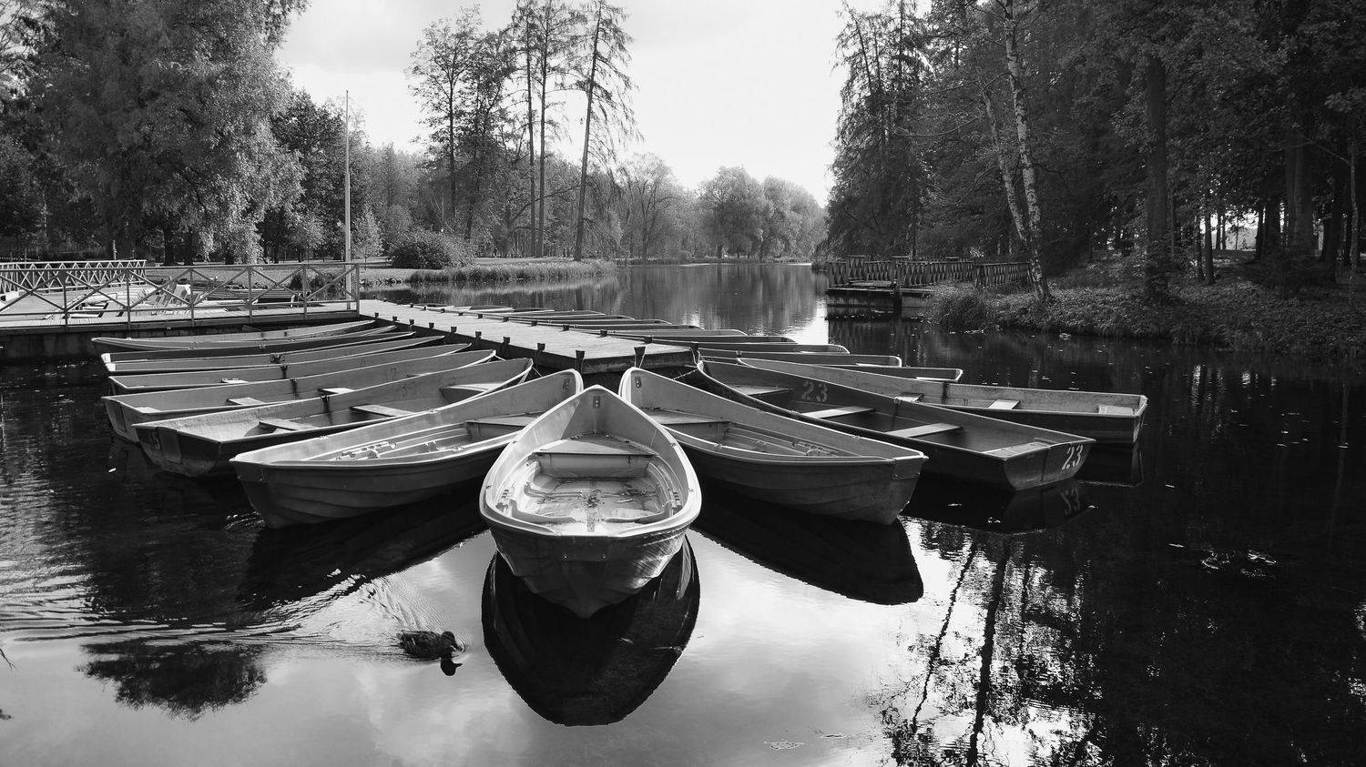 осень, природа, тишина, россия, питер, город, парк, озеро, лодки, Валерий Верещако