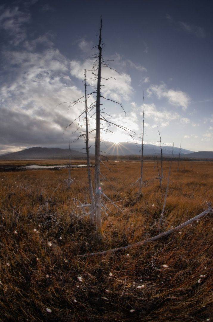 , Абрамов Денис