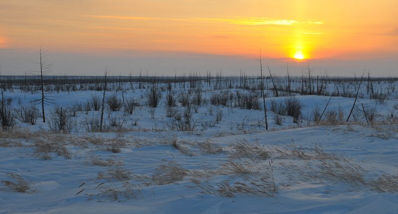 Конец Полярной ночи! фото превью