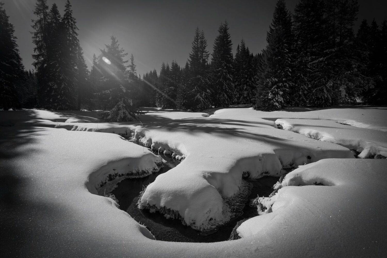 , Mariyana Atanasova - Lucero