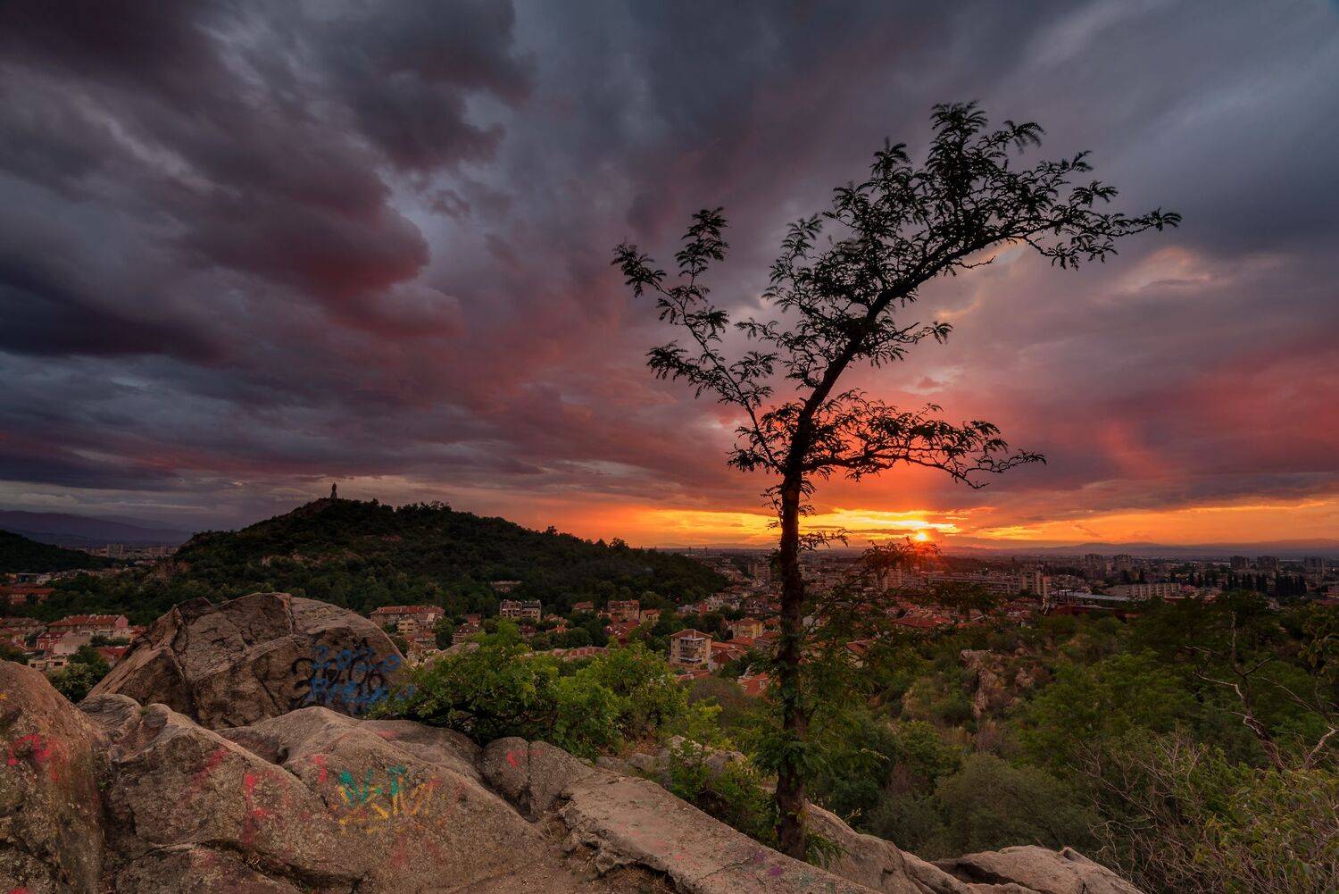 , Mariyana Atanasova - Lucero