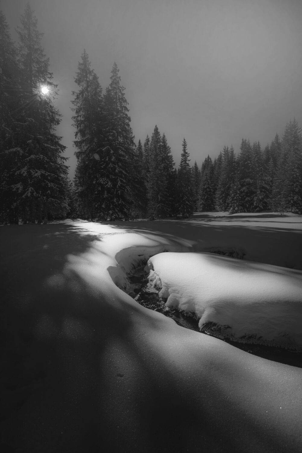 , Mariyana Atanasova - Lucero