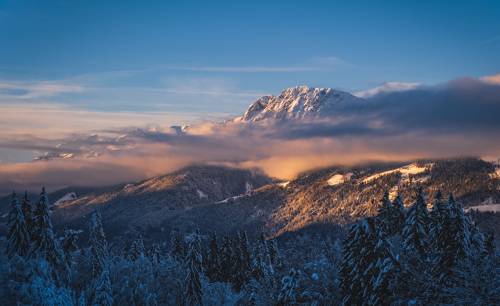 In pre-sunset light