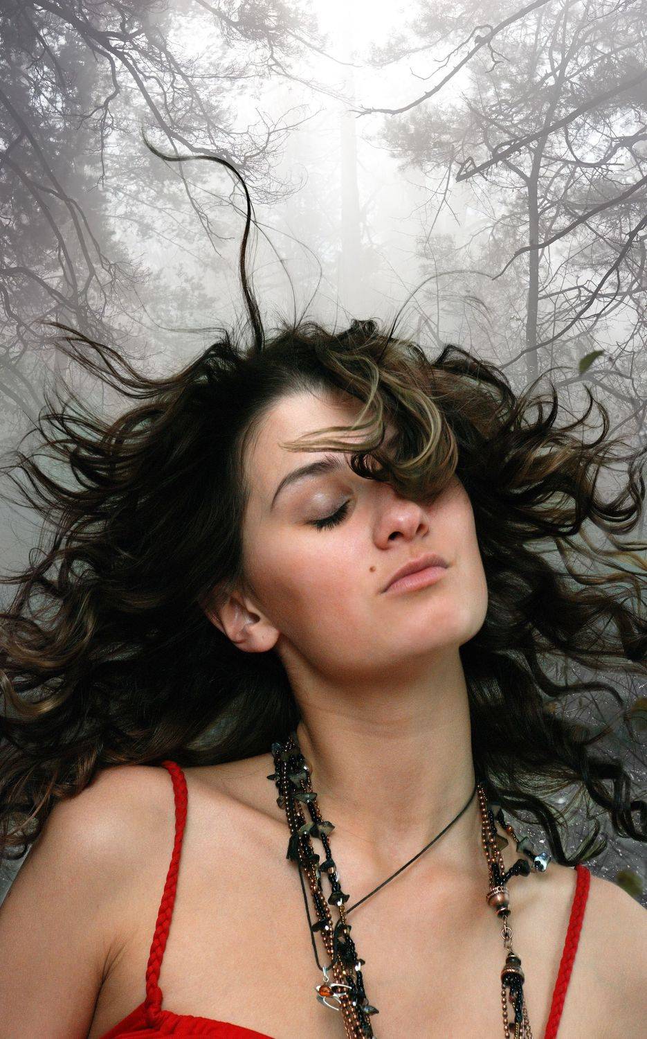 , Владимир Краснов