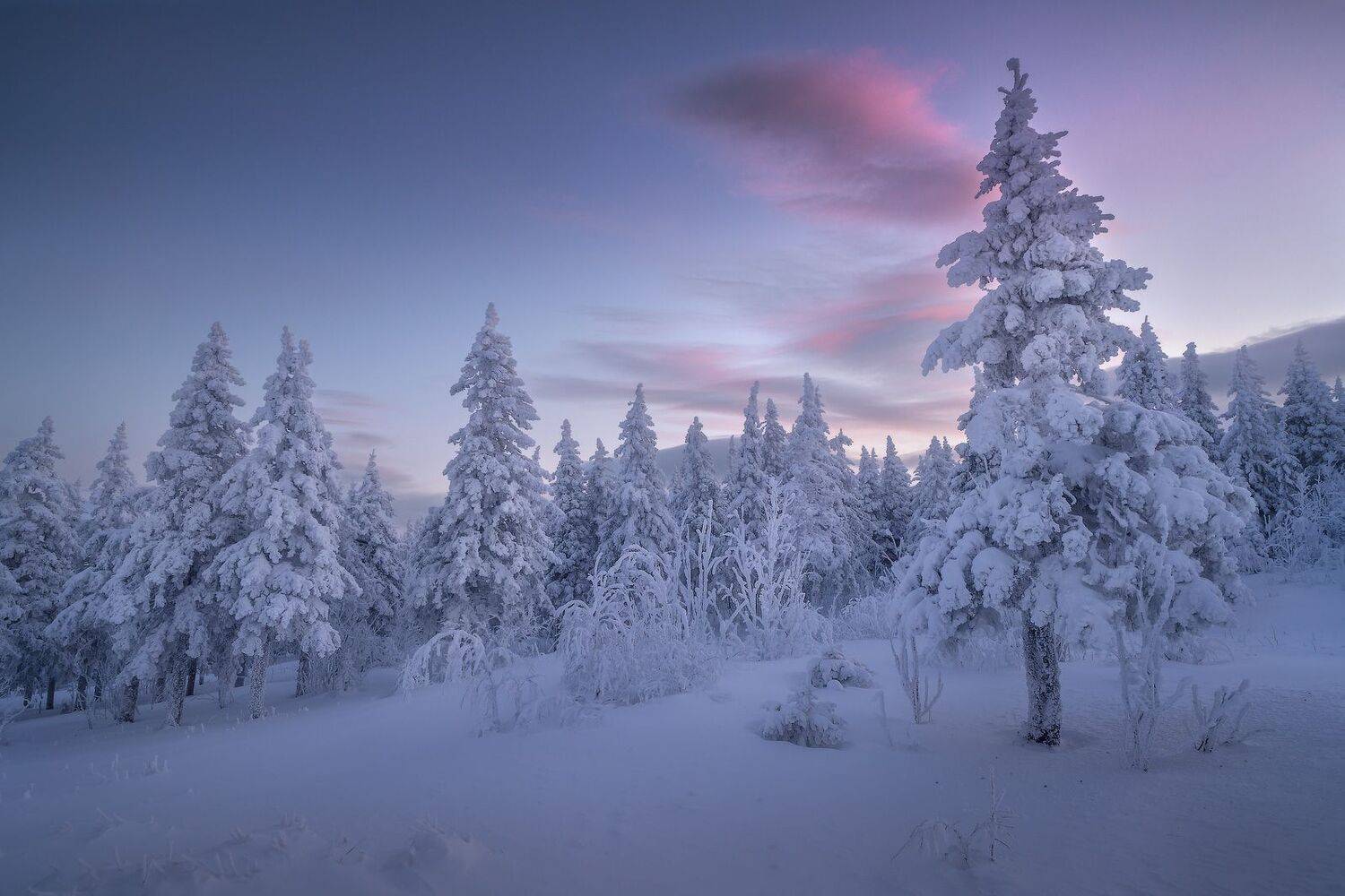таганай, Владимир Ляпин