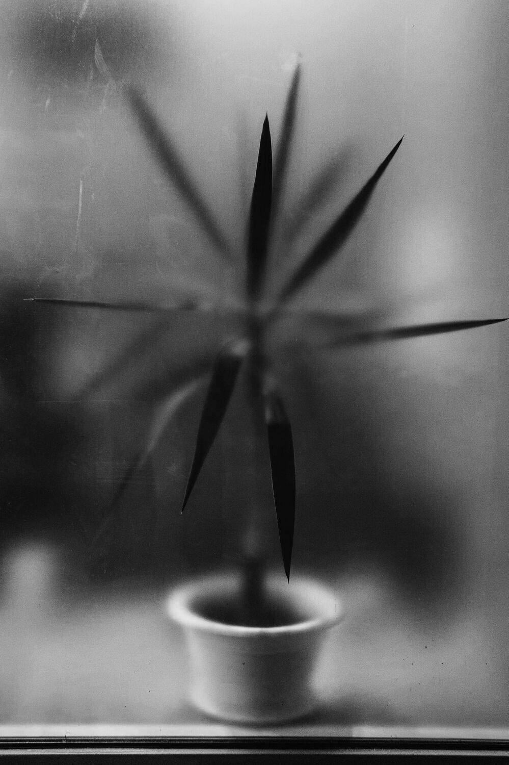 , Юрий Вертиков