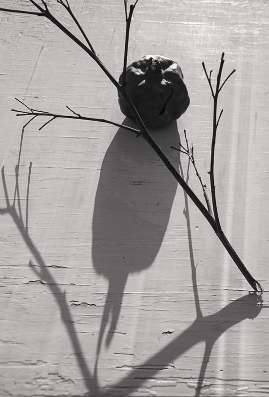 натюрморт, минимализм соприкосновение фото превью