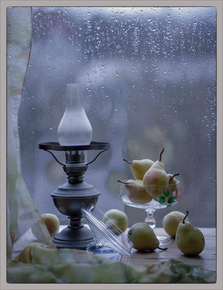 , Stein Georg