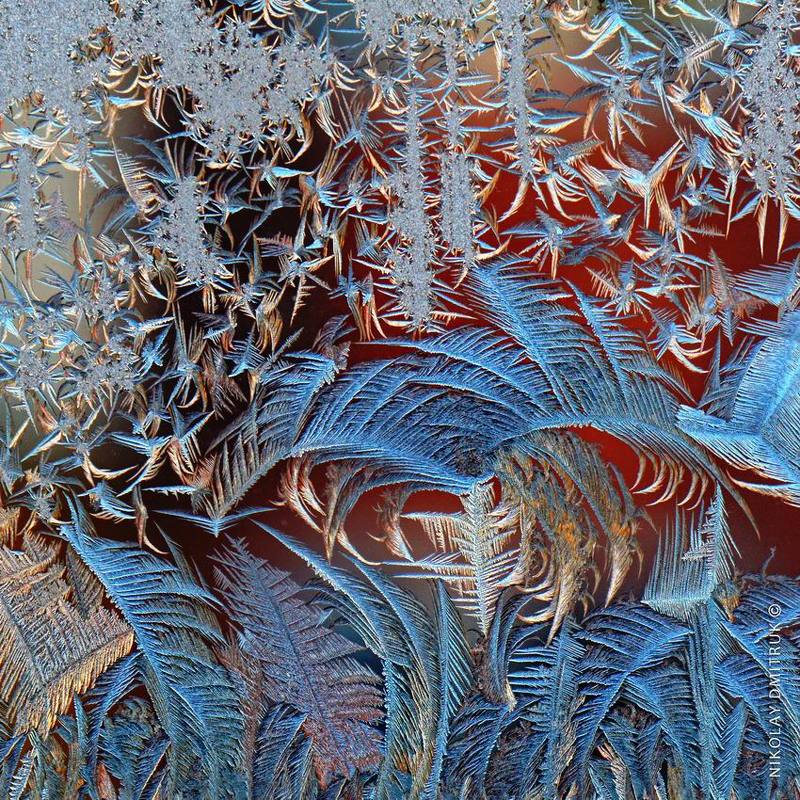 лёд мороз окно природа мороз 21-2 фото превью