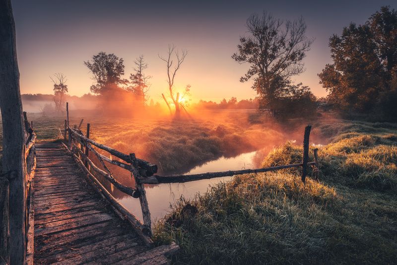 Magical morning фото превью