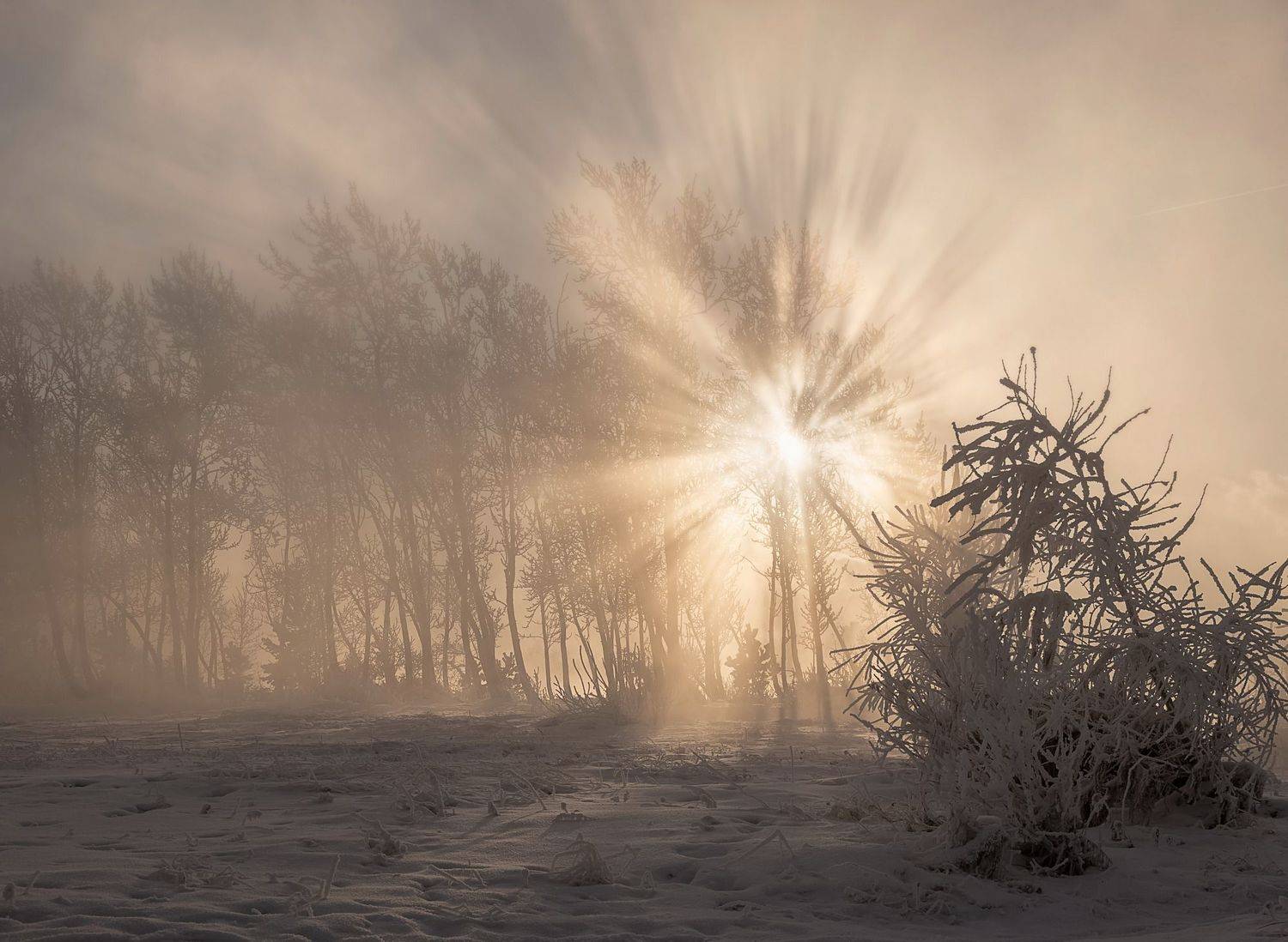 мороз, лучи, зима, Марина Фомина