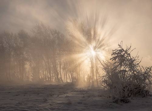 Зимний свет