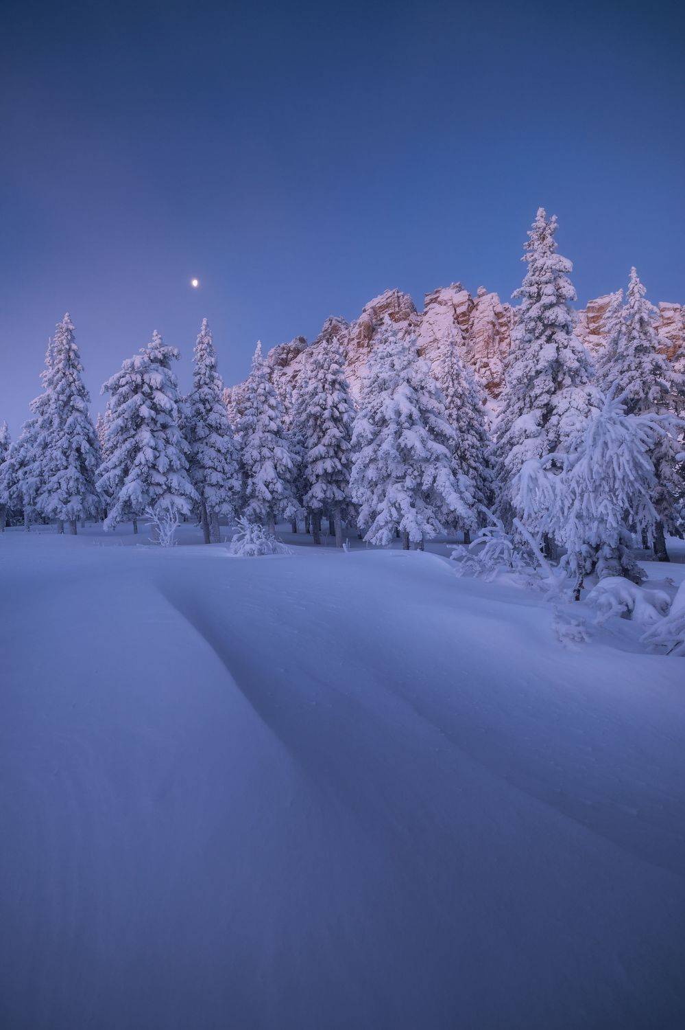 , Алексей Козаченко
